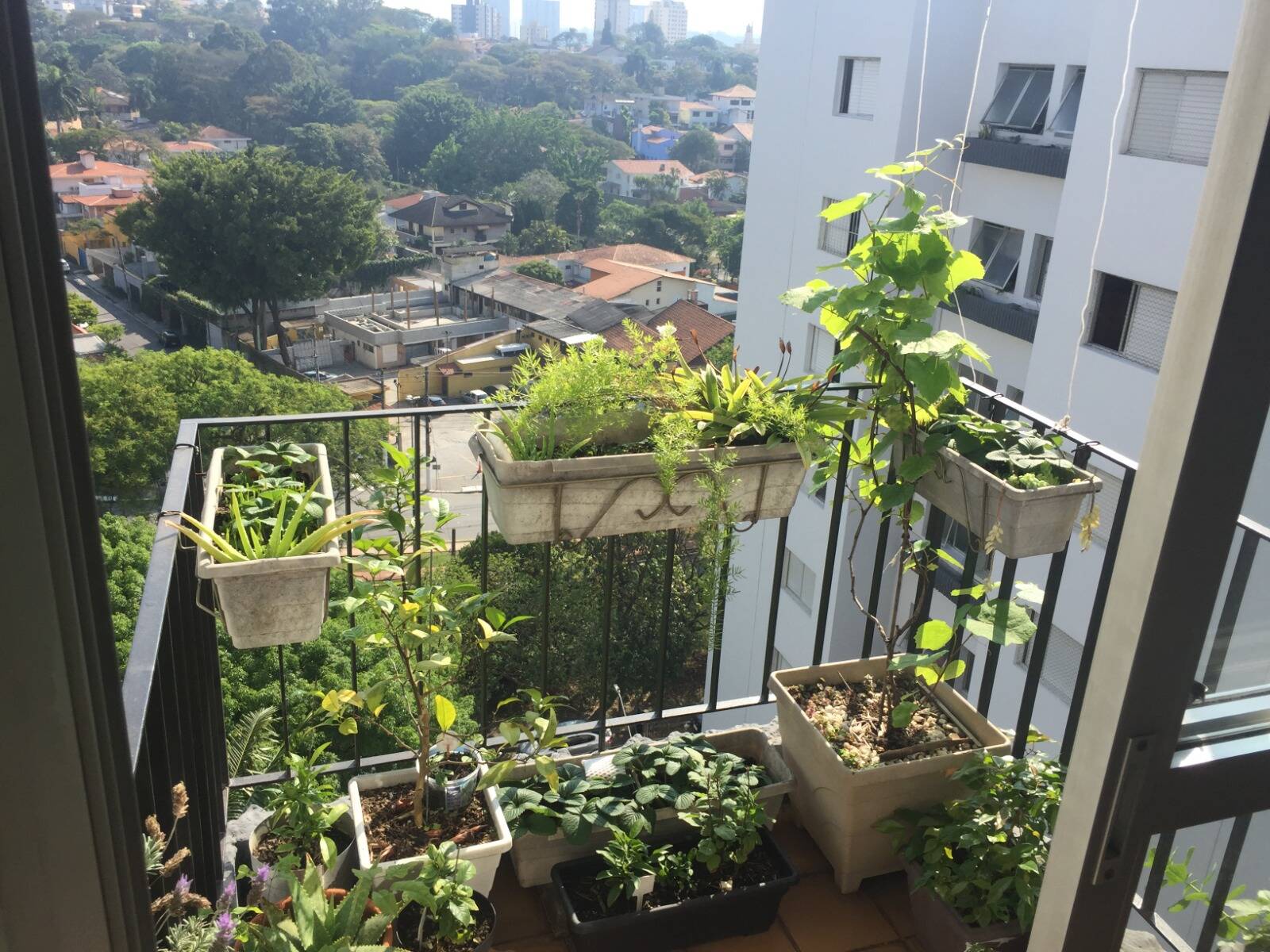 Apartamento, 2 quartos, 65 m² - Foto 28
