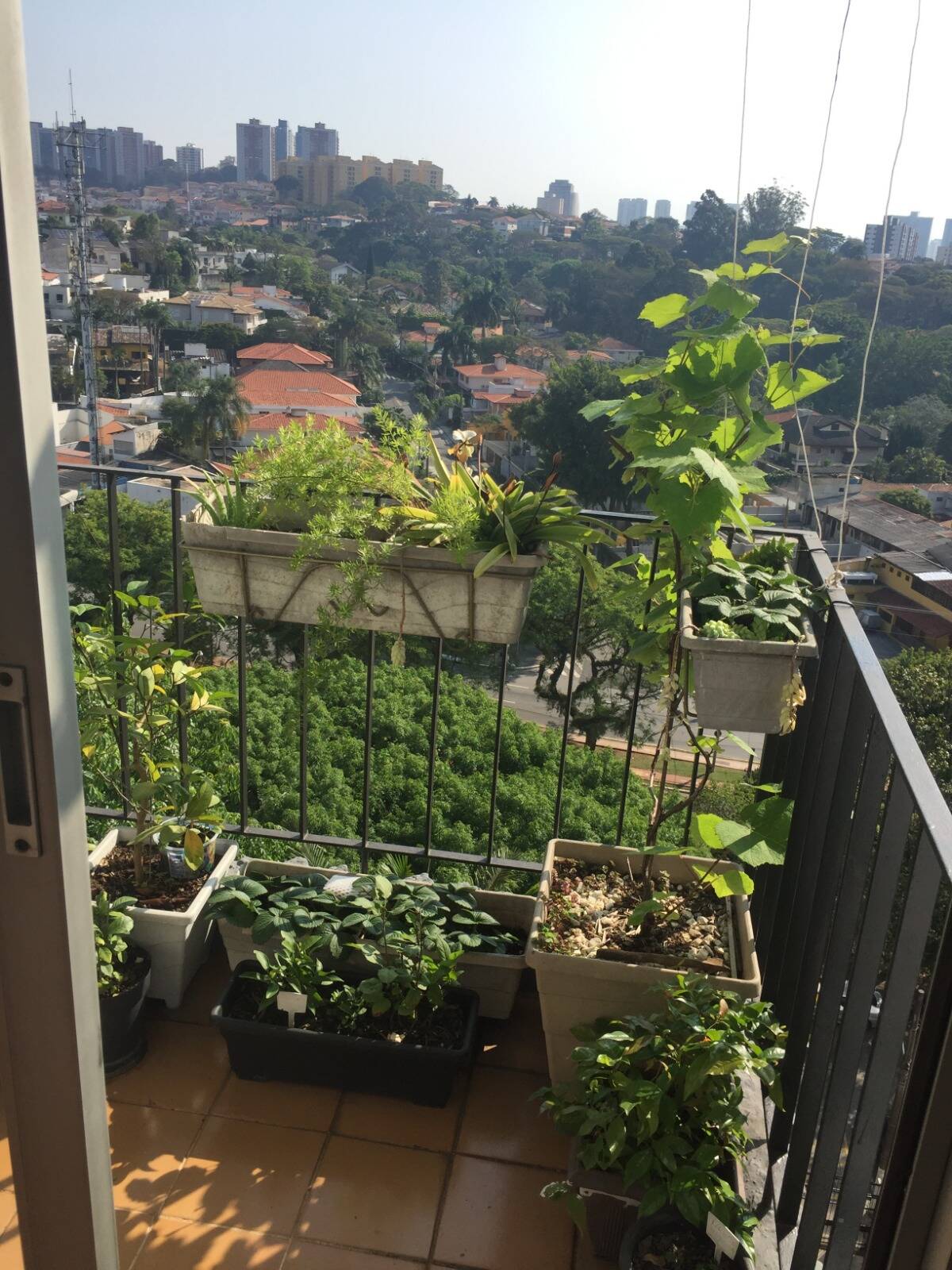 Apartamento, 2 quartos, 65 m² - Foto 29