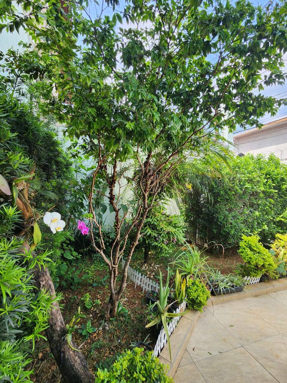 Casa, 3 quartos, 87 m² - Foto 12